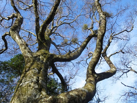 f0302771_16473436.jpg