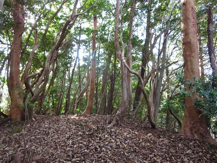 f0302771_164832.jpg