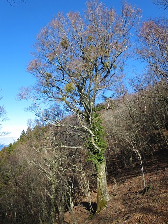 f0302771_16501951.jpg
