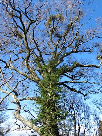 f0302771_16502885.jpg