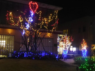 e0046477_20591474.jpg