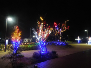 e0046477_2115996.jpg