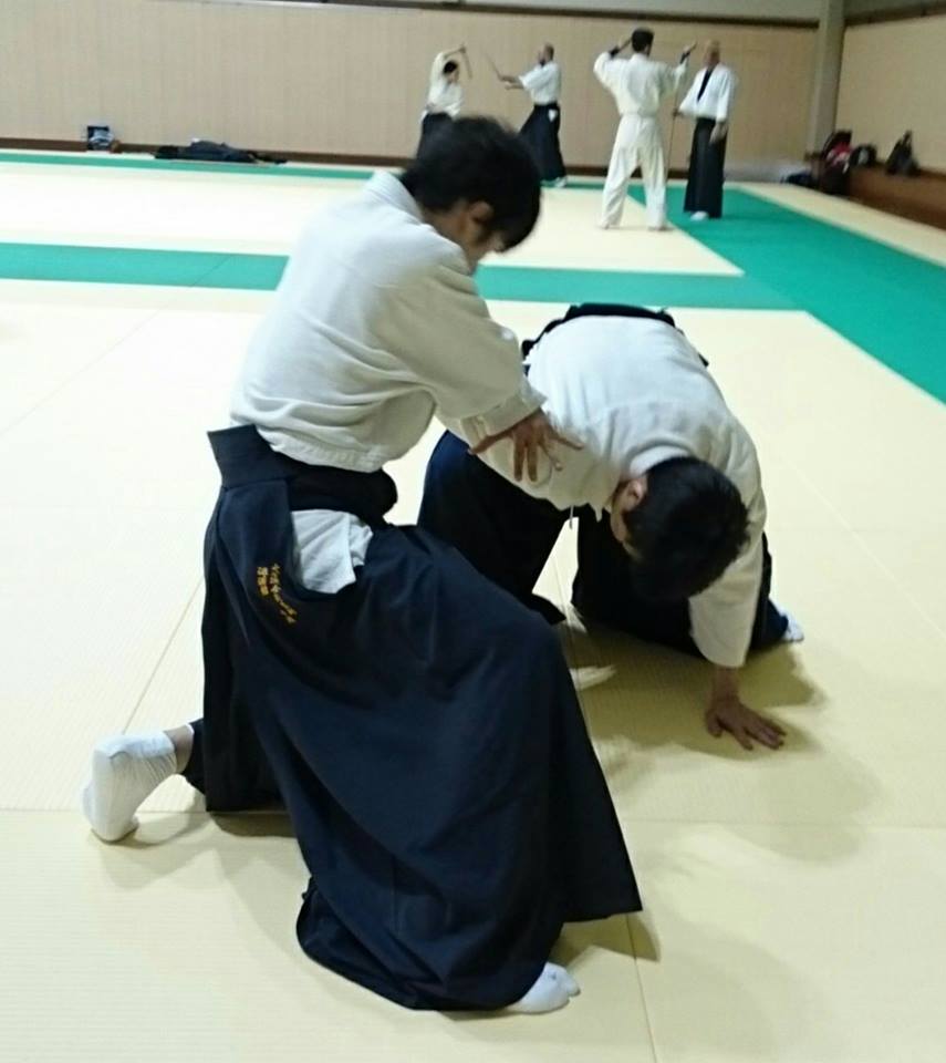 大東流、兵法二天一流 平成二八年十月・十一月・十二月稽古 _b0005281_20263172.jpg
