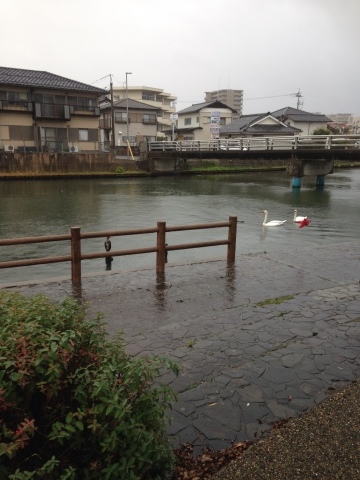 c0310987_11211012.jpeg