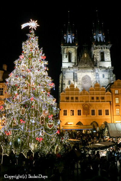 チェコブロガーツアー：チェコのクリスマスマーケット（都市別編）_d0114093_5423792.jpg