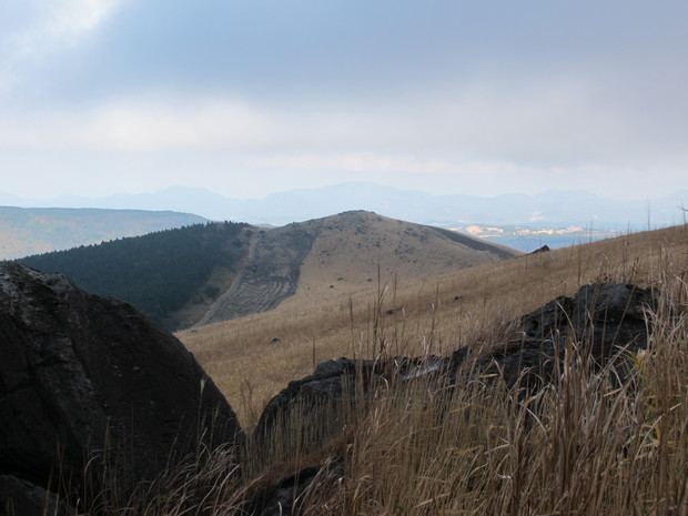 a0166196_12523276.jpg