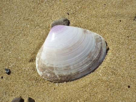 a0125598_19511077.jpg