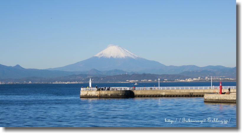 2017年 あけましておめでとうございます。_f0356904_17132375.jpg