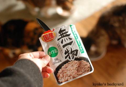 猫たちのクリスマス2016 (動物・ペット部門)_b0253205_03380744.jpg