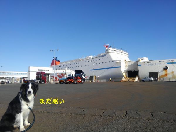 d0224111_10531960.jpg
