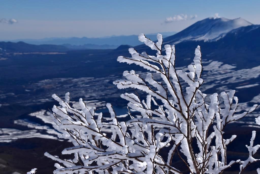 2016/12/25 四阿山　一面霧氷の景色_a0340812_16144909.jpg