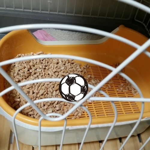 e0144012_16234658.jpeg