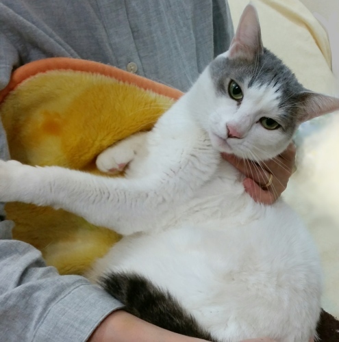 e0144012_22212511.jpeg