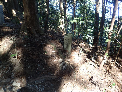 e0293913_1036212.jpg