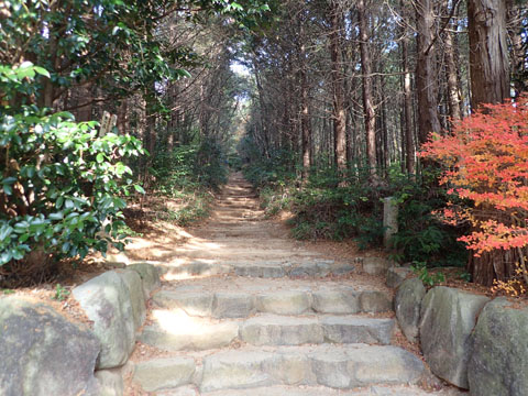 e0293913_9353919.jpg