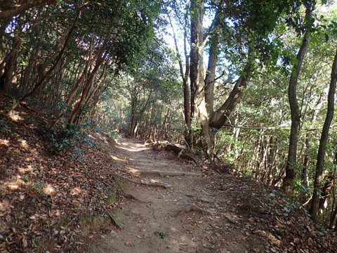 e0293913_9422017.jpg