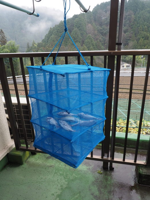 夫の釣果_c0116915_281336.jpg