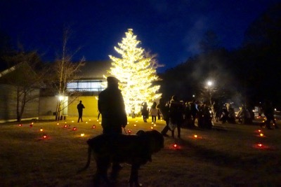 ハルニレ、クリスマスイルミネーションからの沢村(動物ペット部門)_e0192217_21282398.jpg