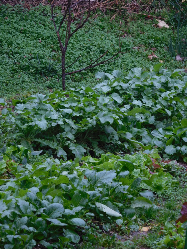 a0125419_08172593.jpg