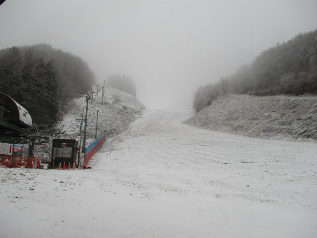 a0173819_82596.jpg