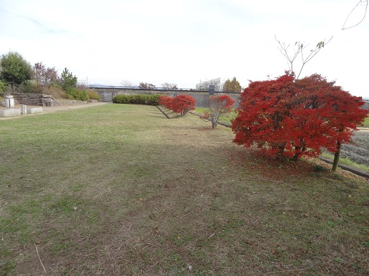 f0000521_651776.jpg