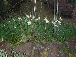 c0147935_21201080.jpg