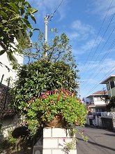 c0147935_216837.jpg