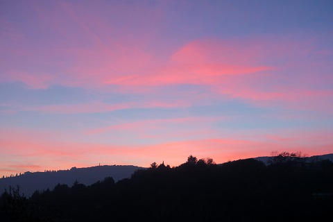 羽ばたき空へ、夕焼けと命の終わり_f0234936_712133.jpg