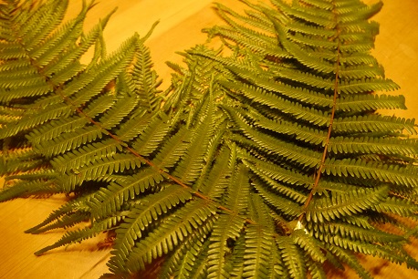 d0336341_20264382.jpg