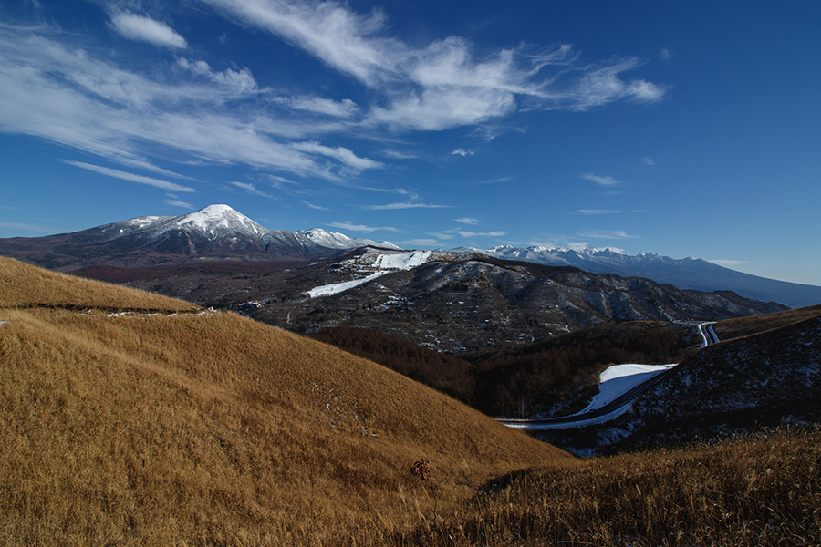 c0035245_22323319.jpg