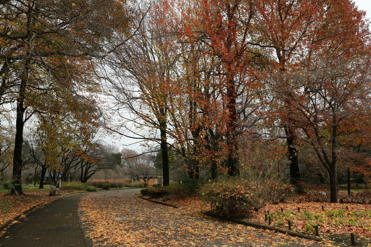 a0120949_77822.jpg