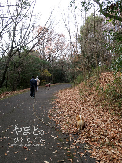a0286855_06173412.jpg