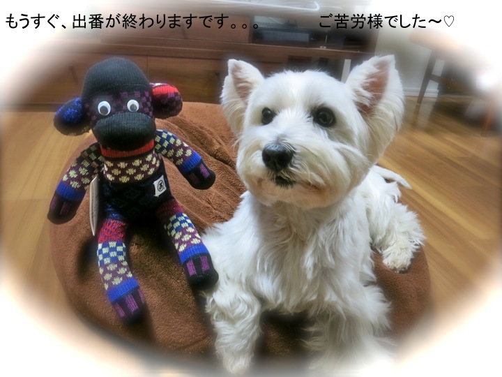 今年の正月休みは短い！_c0260460_20361135.jpg