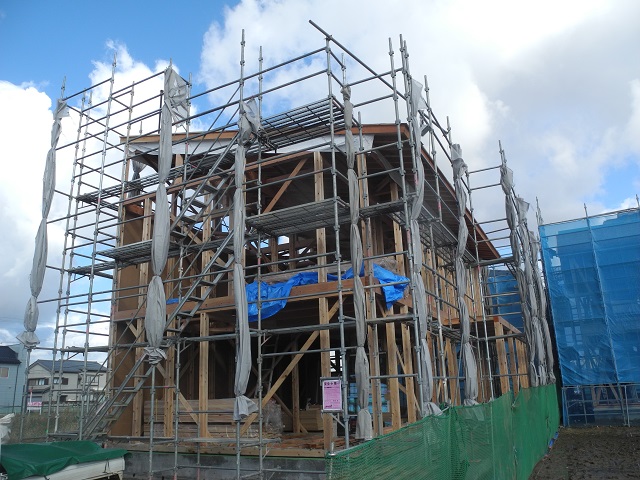 c0247768_853021.jpg