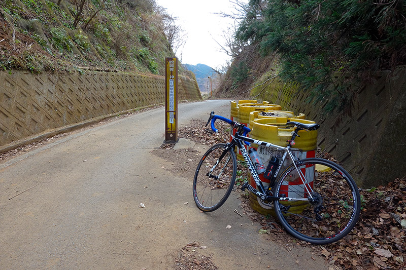 半原越・なんか、なんかな・・・ 2016年12月25日_d0123571_23491691.jpg