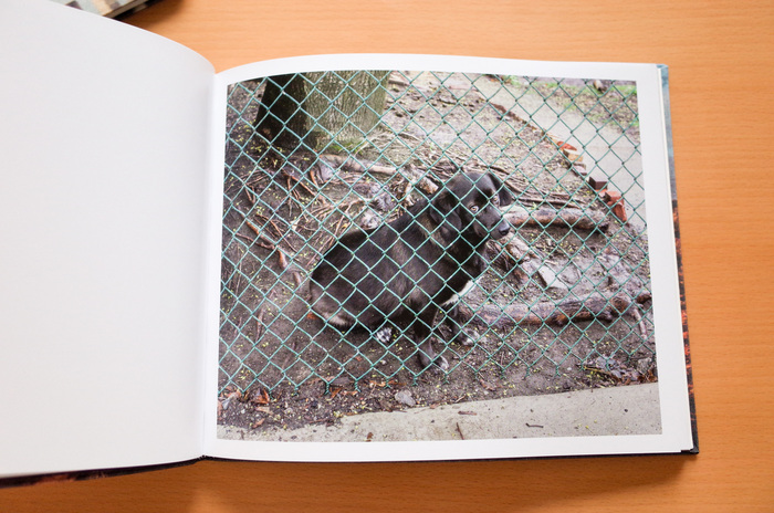 Ed Panar  「Animals That Saw Me vol.2」_c0016177_1254737.jpg