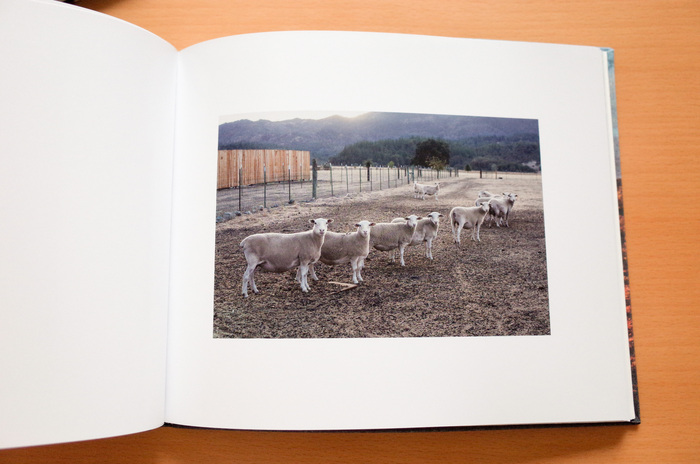 Ed Panar  「Animals That Saw Me vol.2」_c0016177_126580.jpg