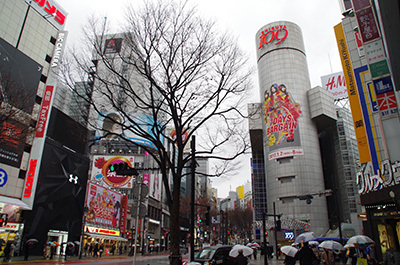 b0056983_12402791.jpg