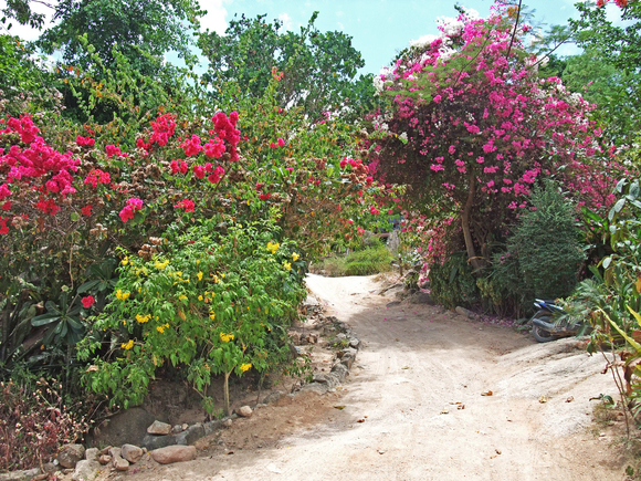 e0296801_8184663.jpg