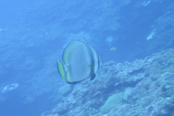 f0121701_19222517.jpg