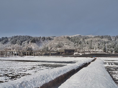 c0336902_20190937.jpg