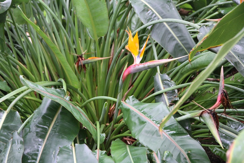 c0366802_11274792.jpg