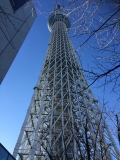 e0178307_12020771.jpg