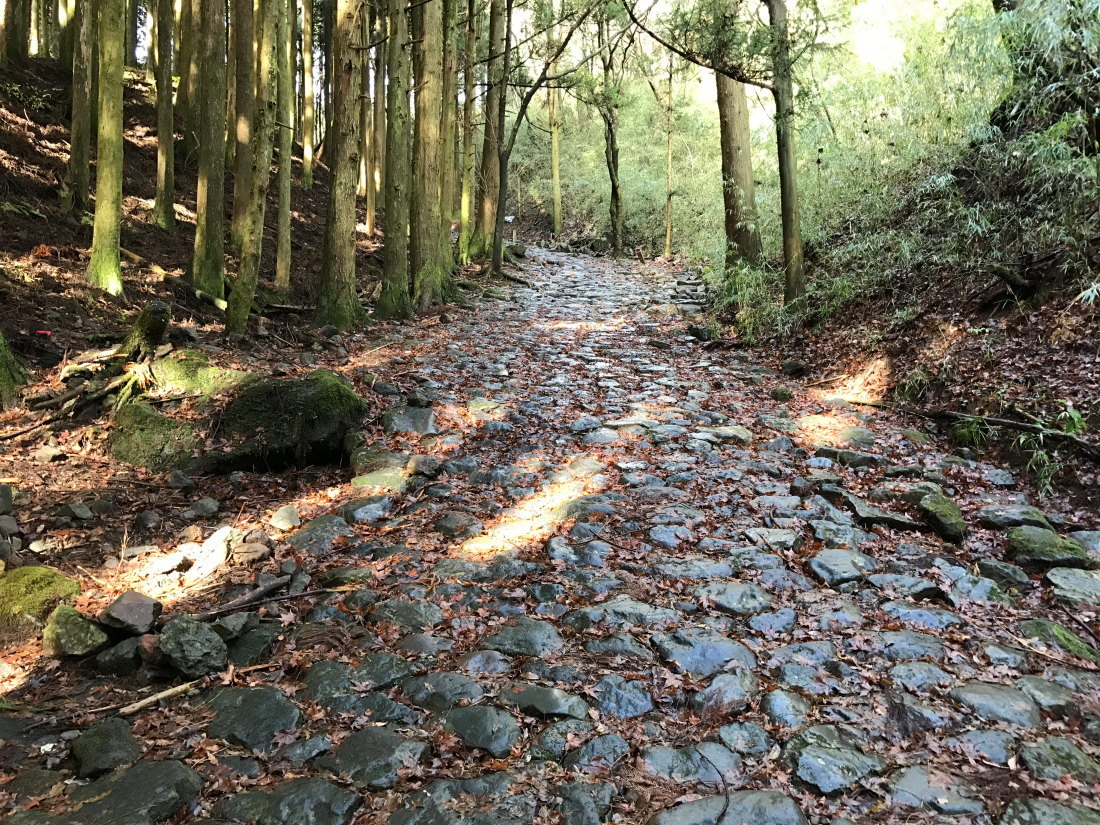 f0157812_08554385.jpg