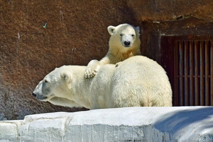 a0151913_22453929.jpg