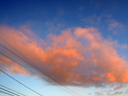 a0158613_16044740.jpg