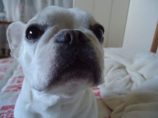 b0248920_303251.jpg