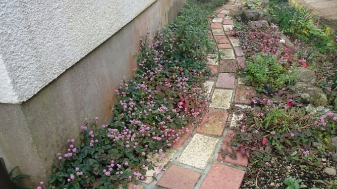 e0263224_16384421.jpg
