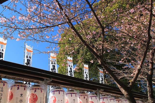 今年の思い出、振り返る(その1)_e0321325_14524768.jpg