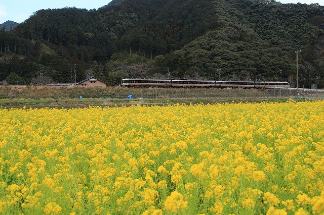 今年の思い出、振り返る(その1)_e0321325_1541520.jpg